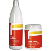 Freecolor Professional Renew restruktūrizuojantis šampūnas pažeistiems ir sausiems plaukams 1000 ml + restruktūrizuojantis kremas pažeistiems ir sausiems plaukams 1000 ml